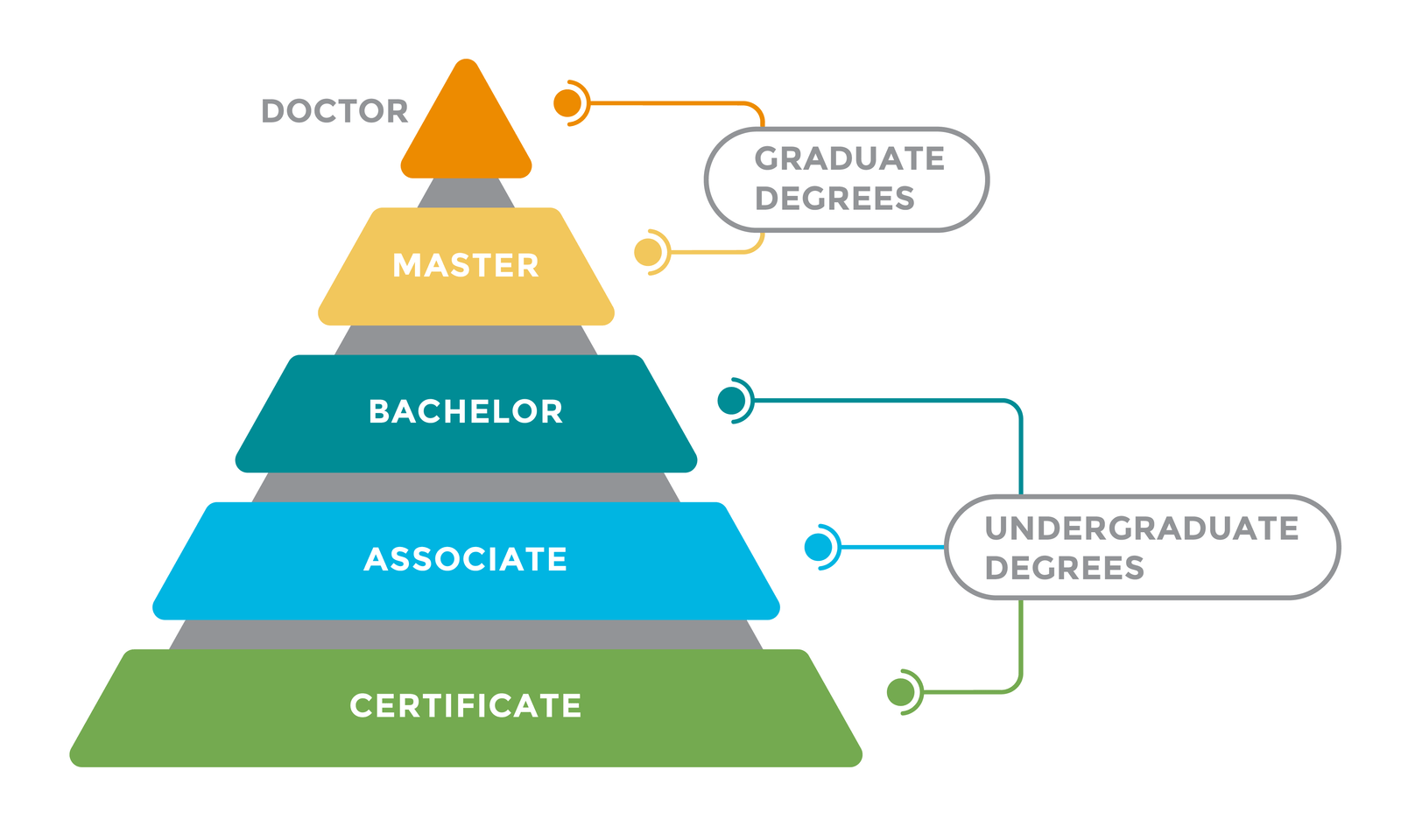 Degree Pyramid infographic