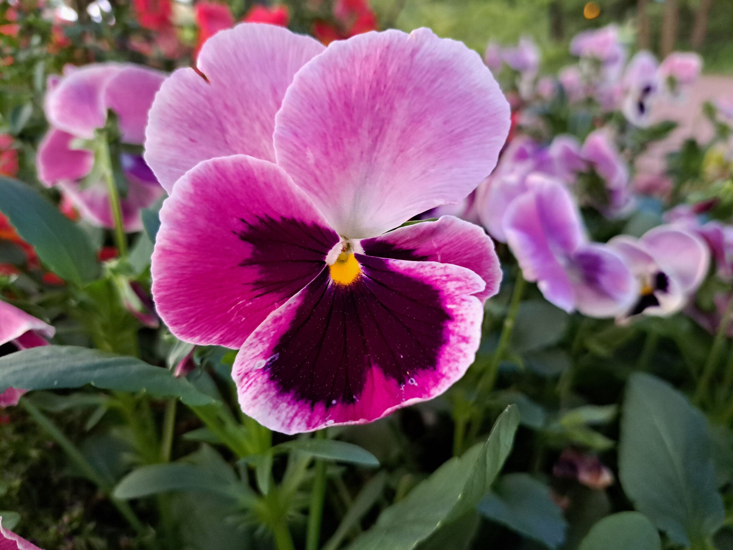New Buffalo, MI beach