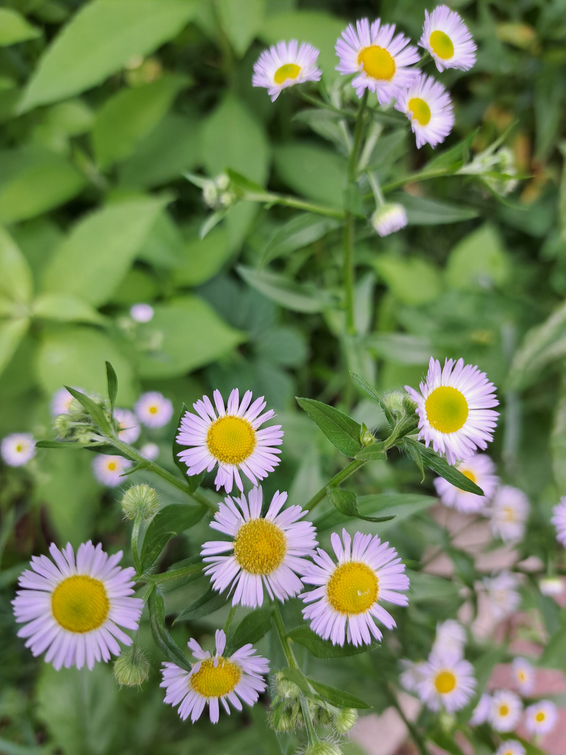 New Buffalo, MI beach