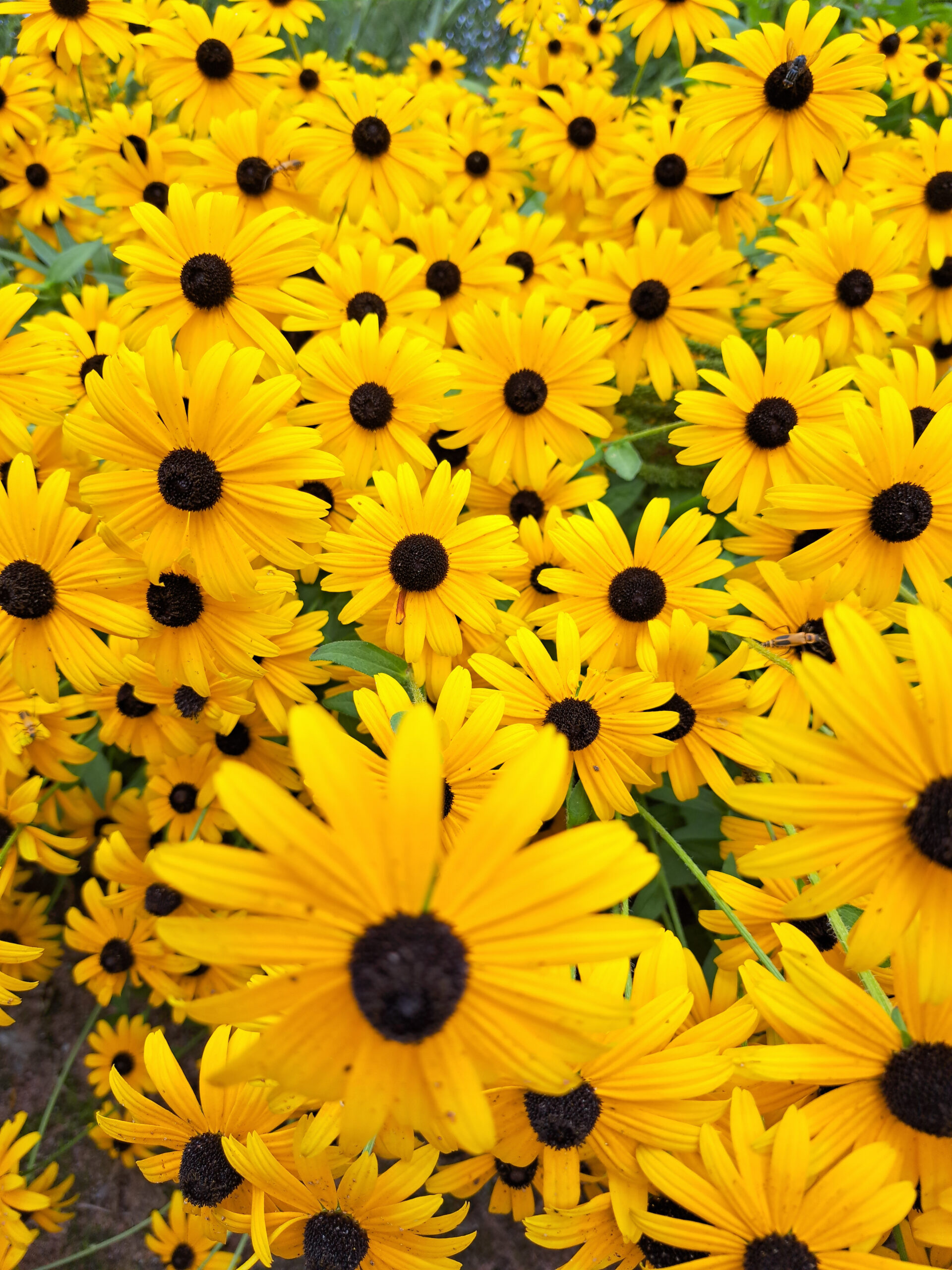 New Buffalo, MI beach