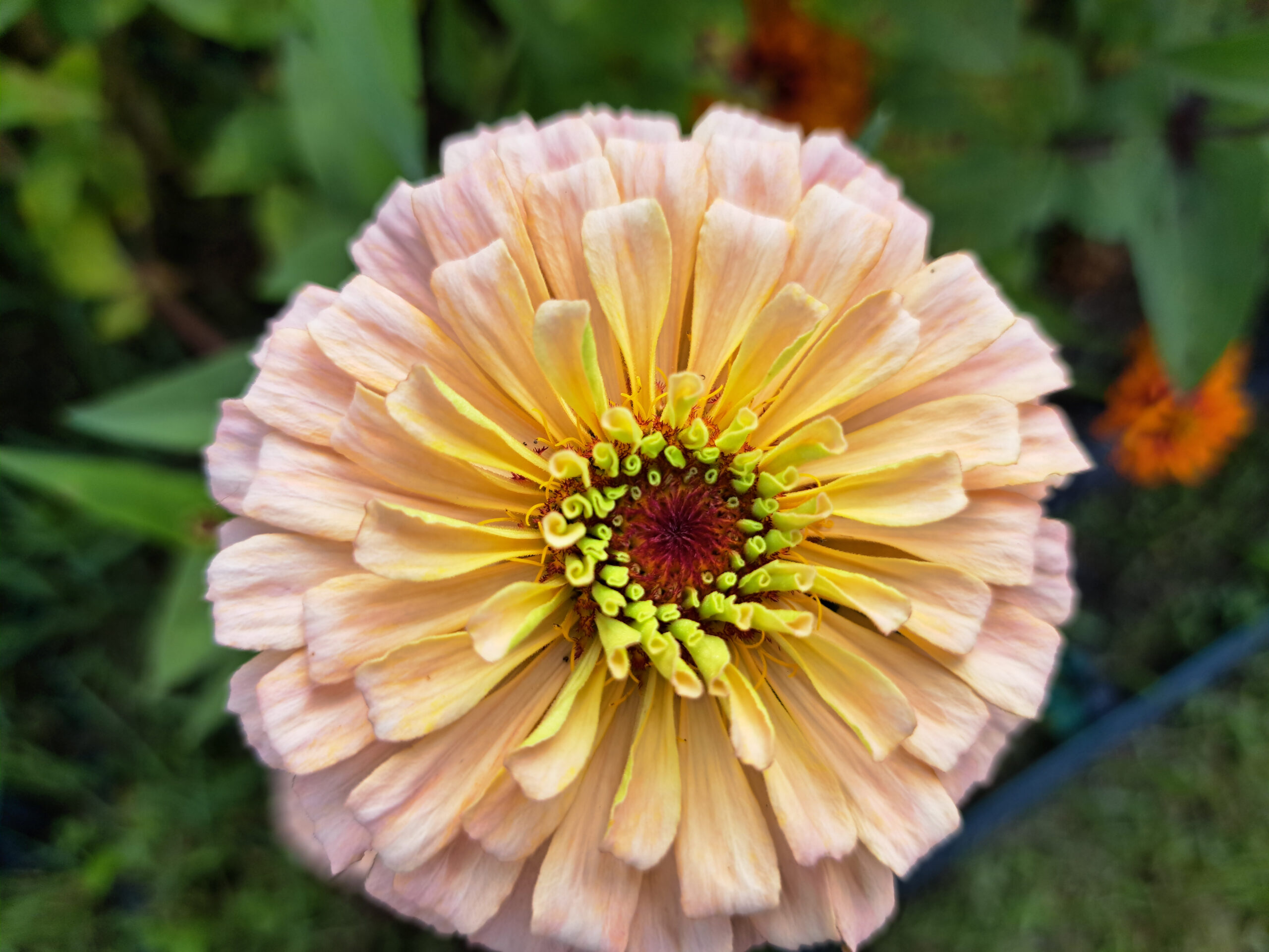 New Buffalo, MI beach